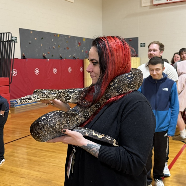 Mr. Drew and his animals