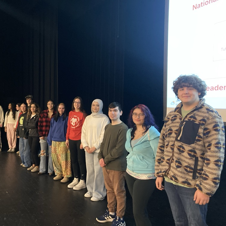 HS Recognition Assembly