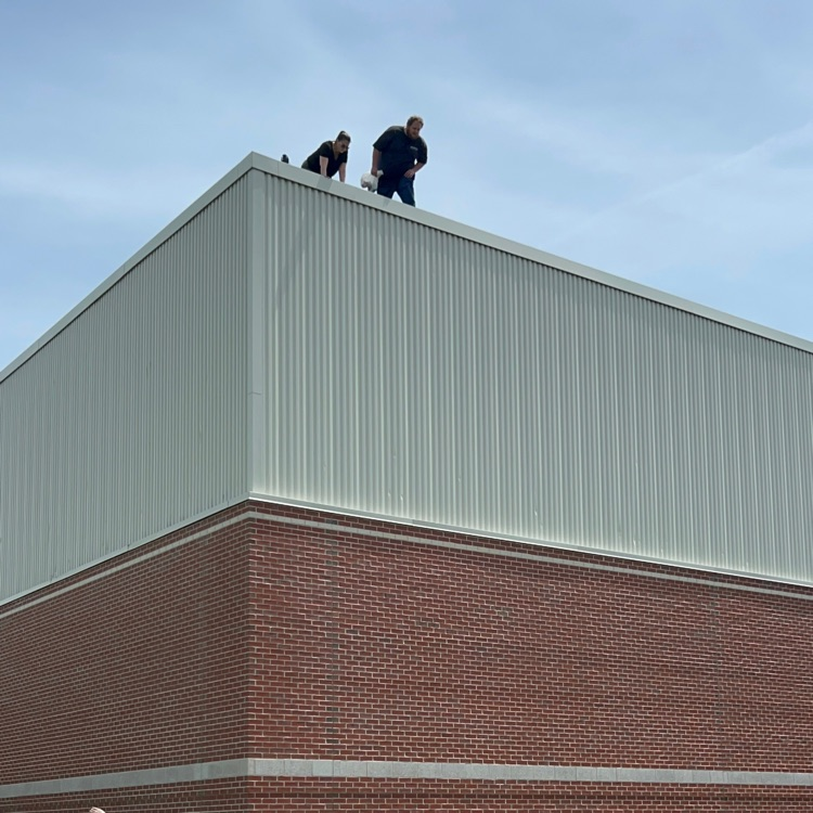 Annual Egg Drop