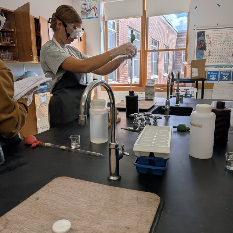 AP Bio