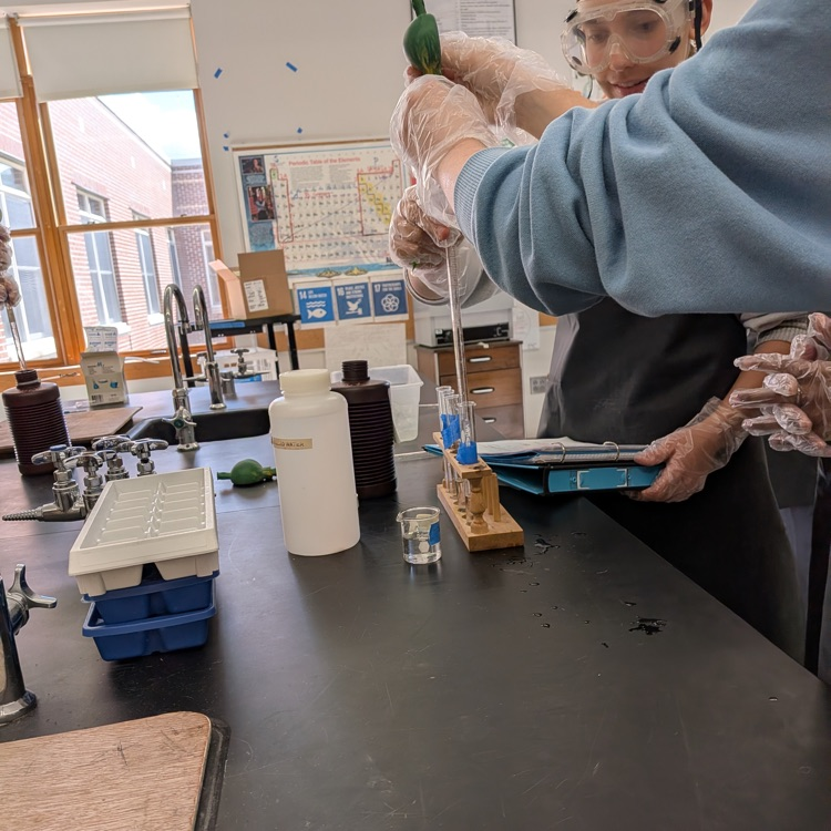 AP Bio 