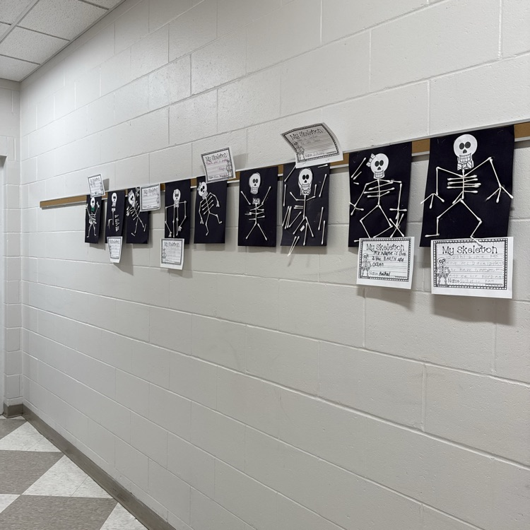 Art at Cony