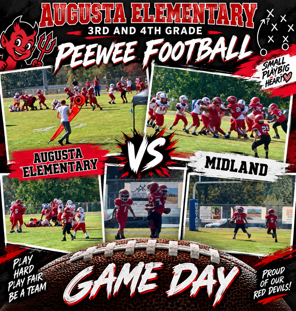 3rd and 4th peewee game pictures