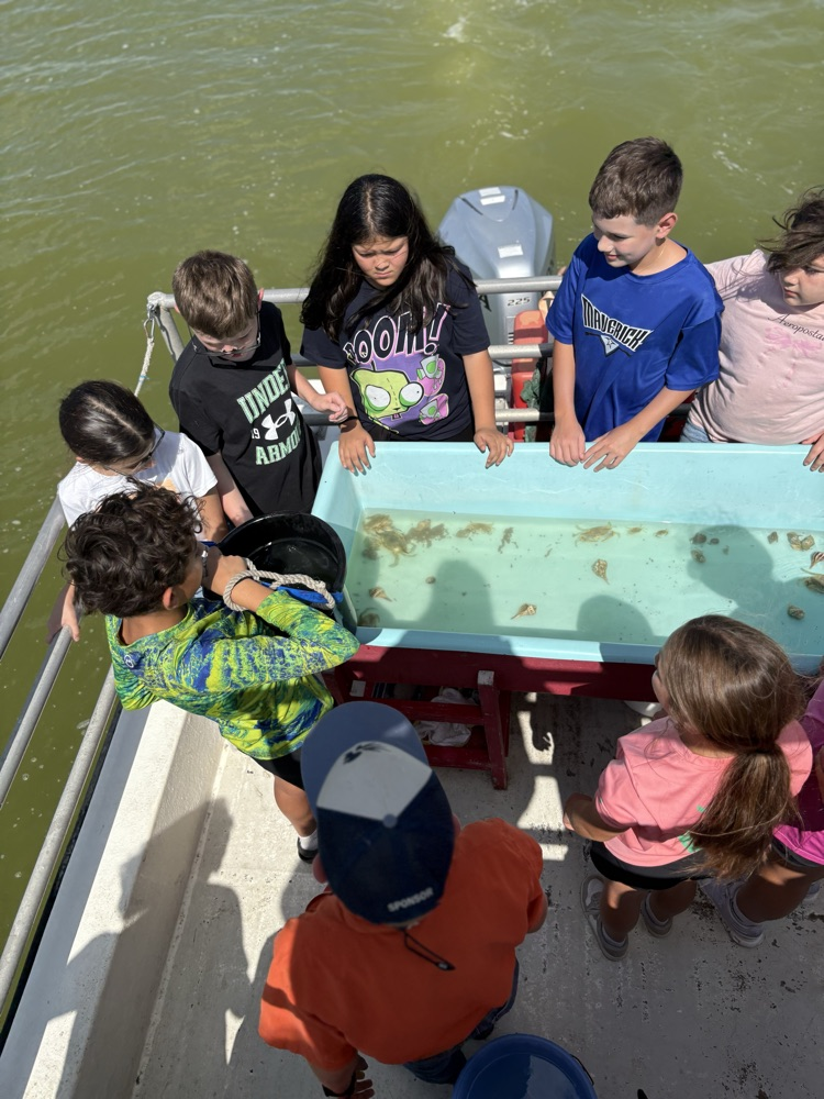 Adding fresh water to the tank!