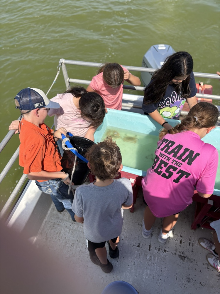More water added to the tank!