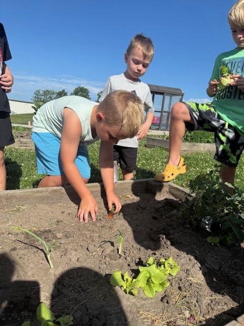 Student planting lant as others look on. 