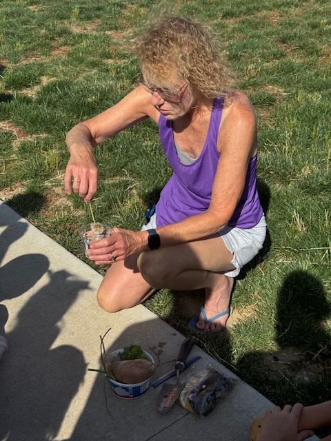 Staff working with a dandelion.