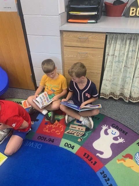boys reading