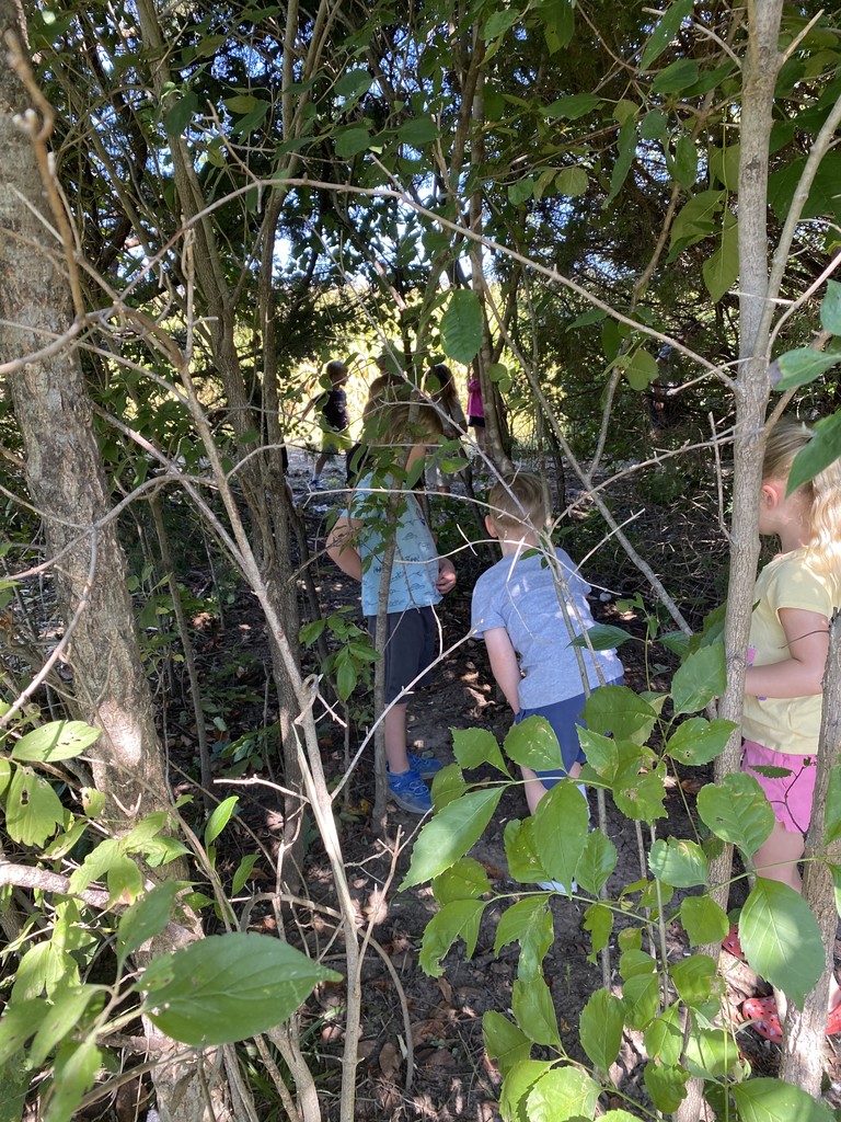 kids in timber
