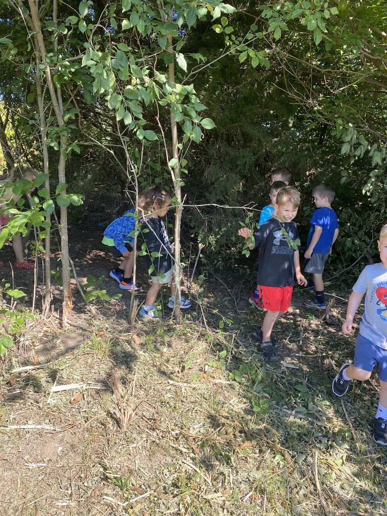 kids in timber