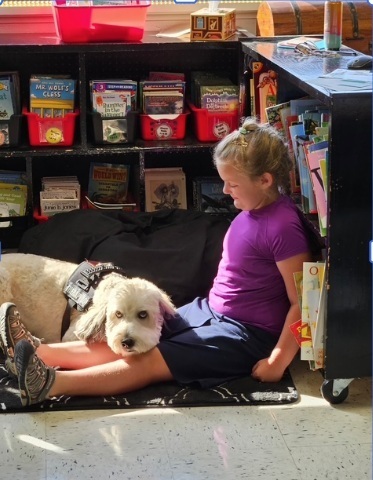 dog and student