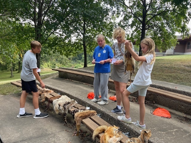 students examining pelts