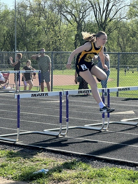 hurdle