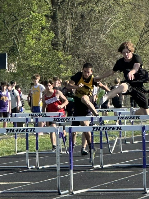hurdle