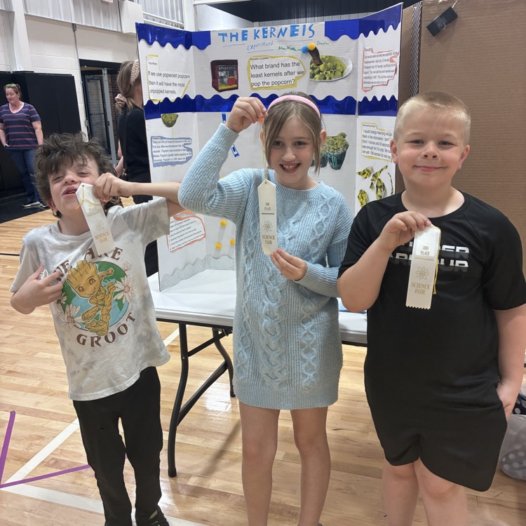 science fair