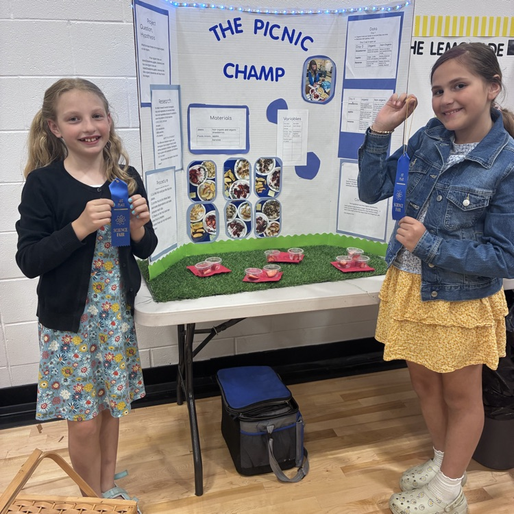 science fair