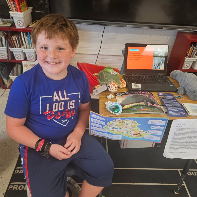 flat stanley 