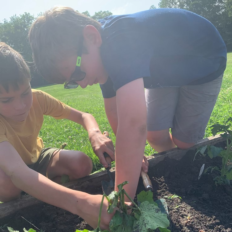 garden club
