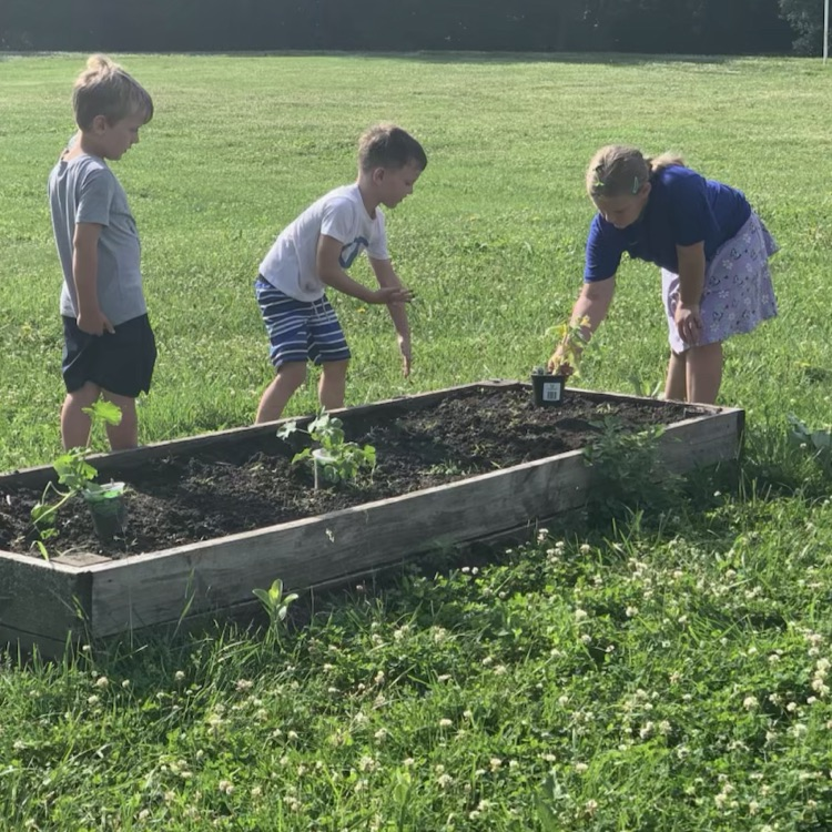 garden club