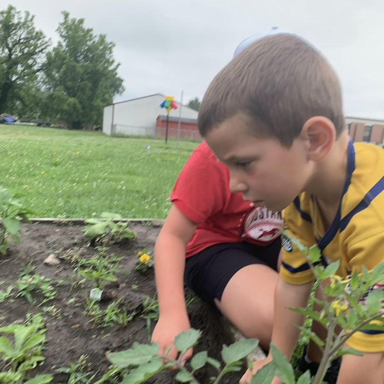 garden club