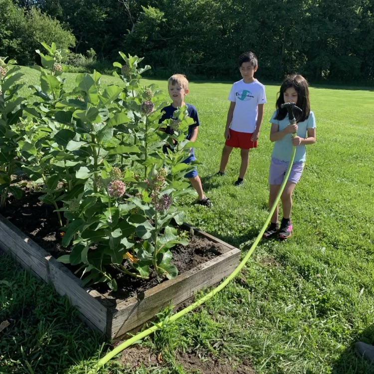 garden club