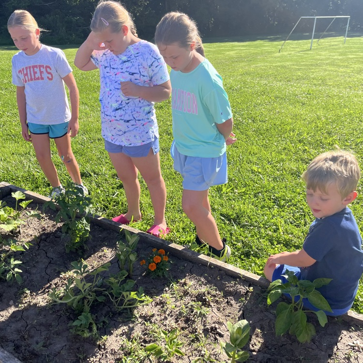 garden club