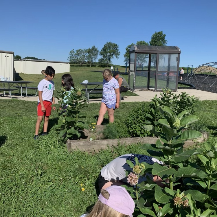 garden club