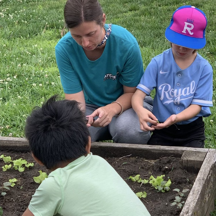 garden club