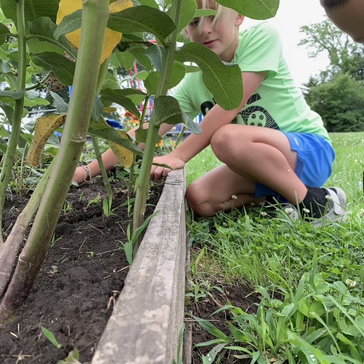 garden club