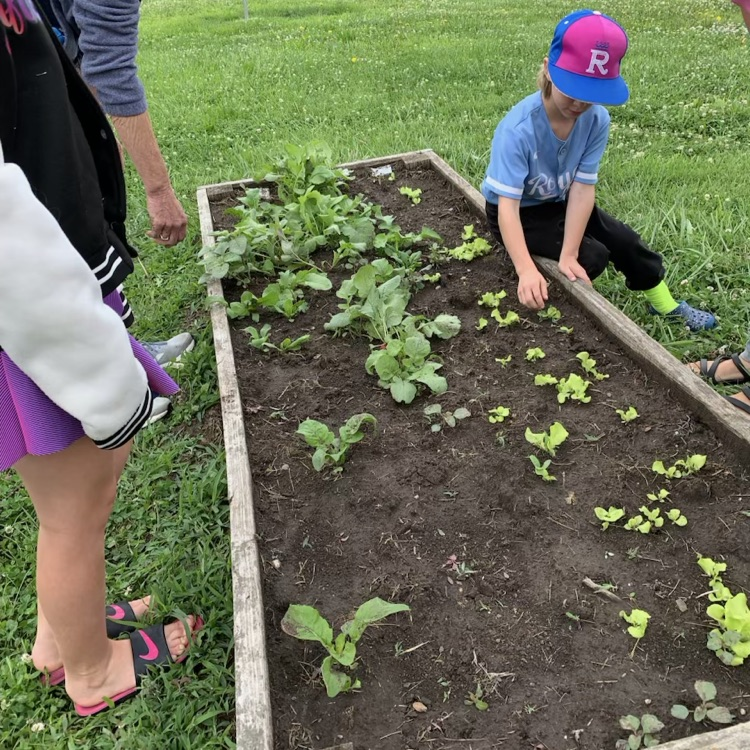 garden club