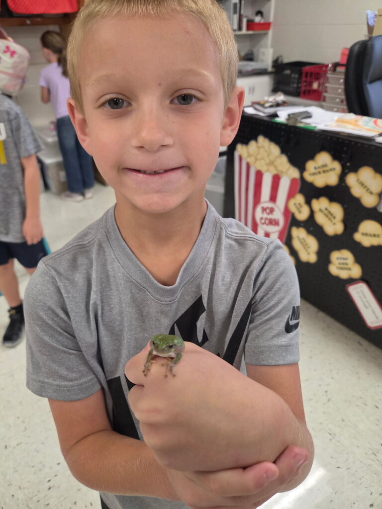 frog