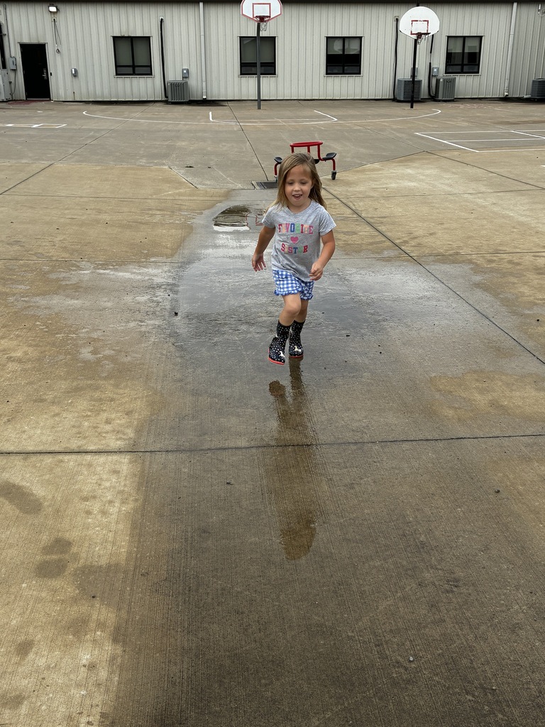 rain puddle