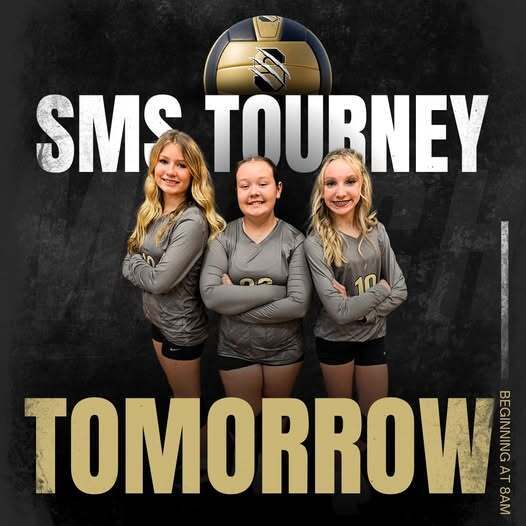 sms volleyball