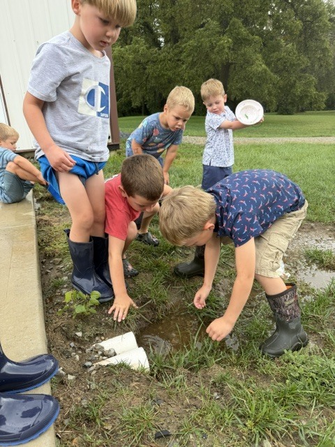 trapping tadpoles
