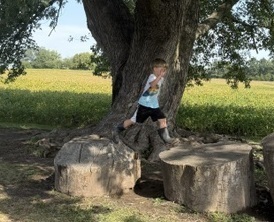 hopping logs
