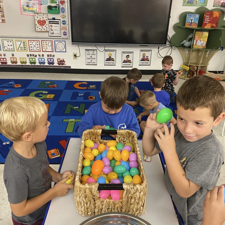 eggs