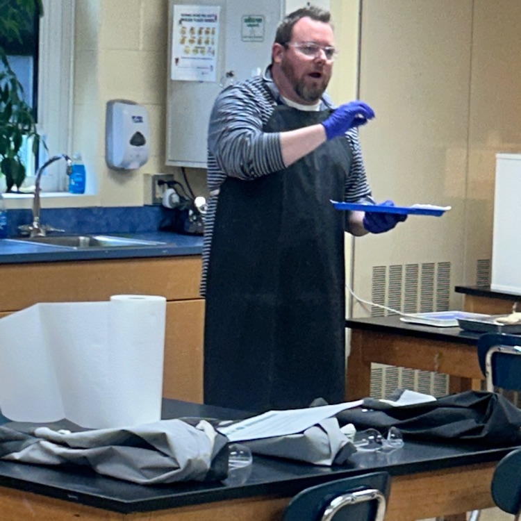 Dissection
