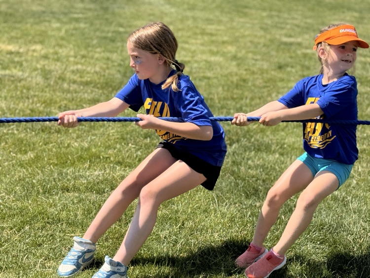 field day