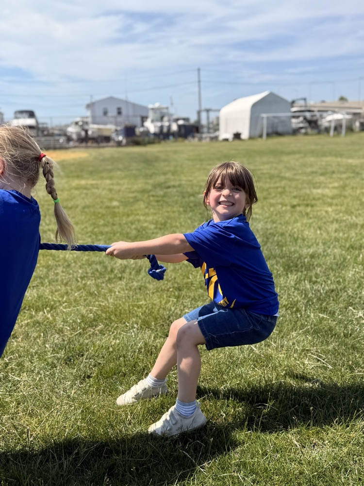 field day