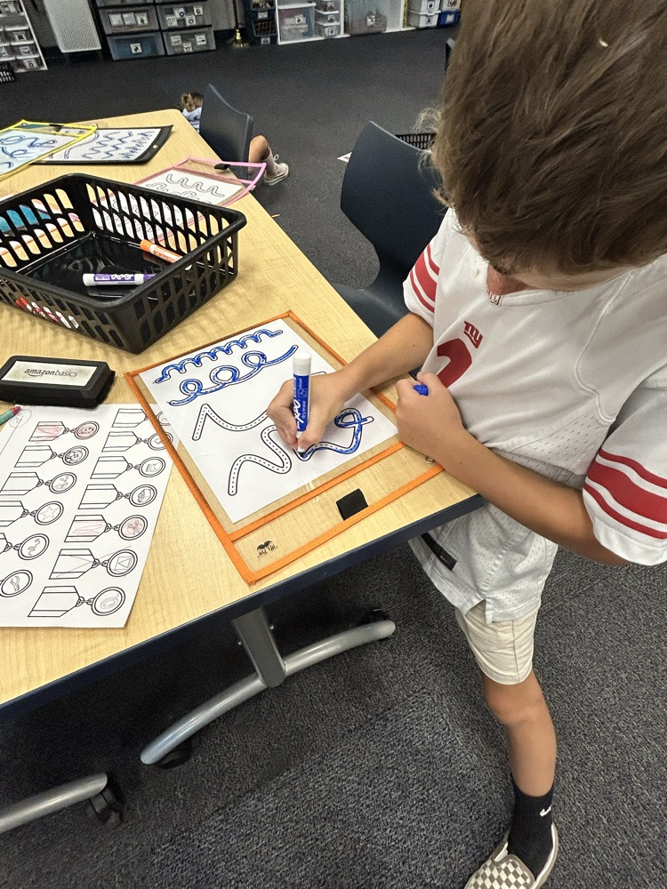 stem activity 