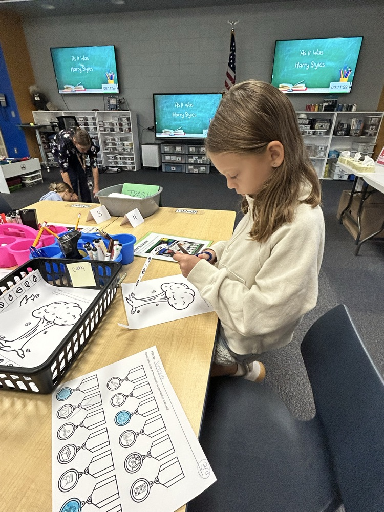 stem activity