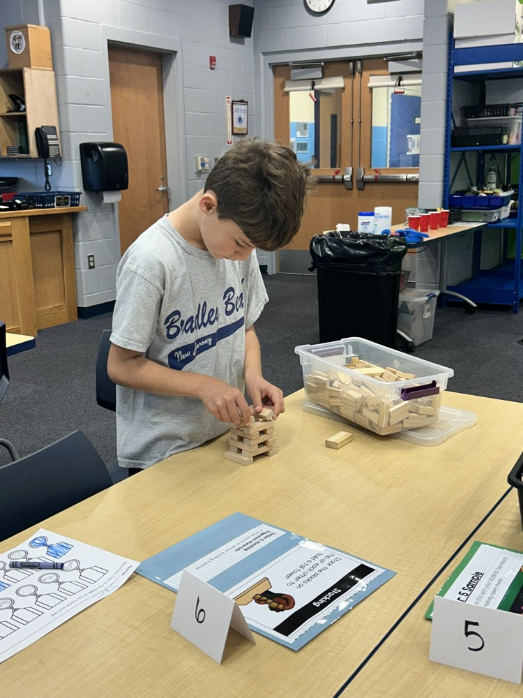 stem activity
