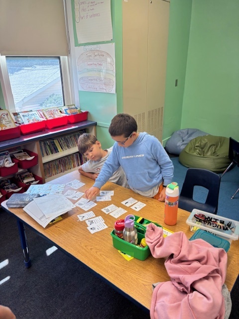 sorting and classifing animals