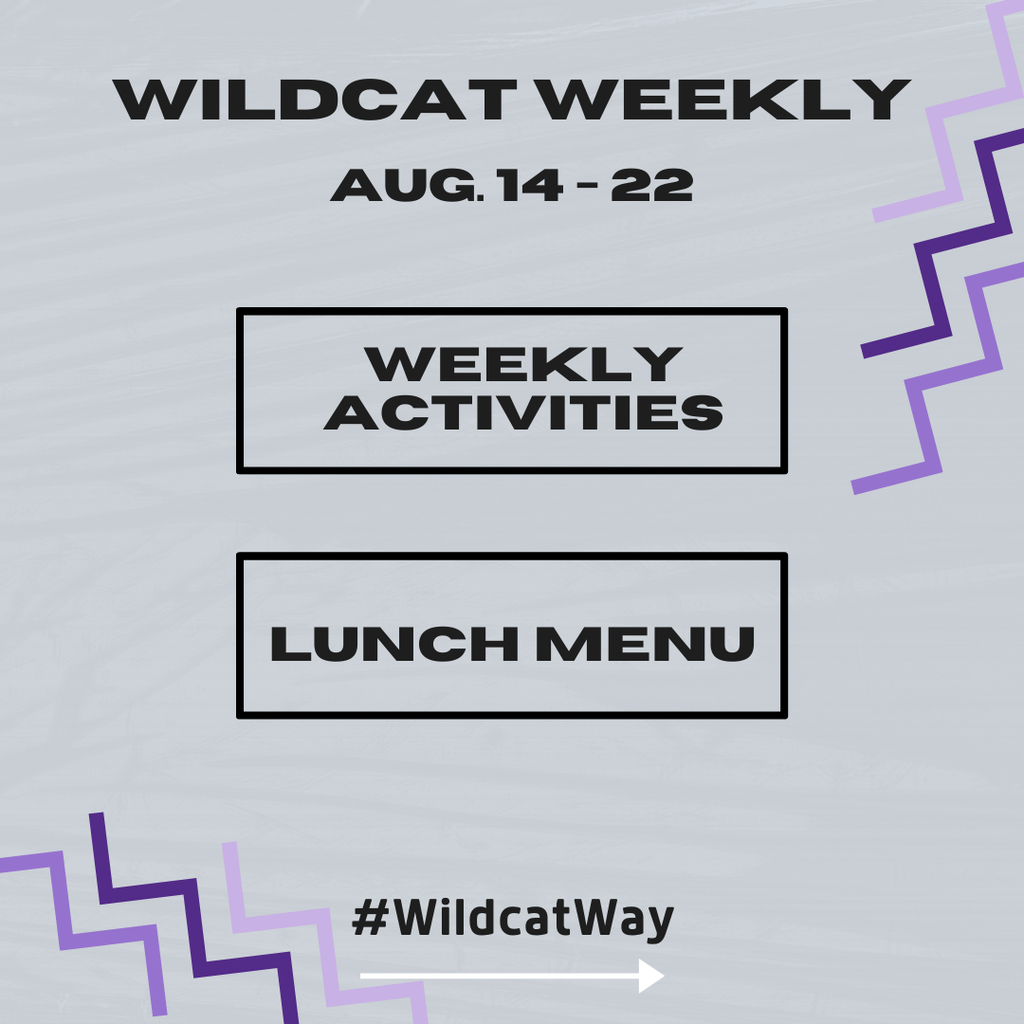 wildcat