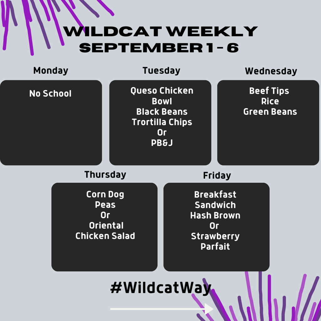 wildcat