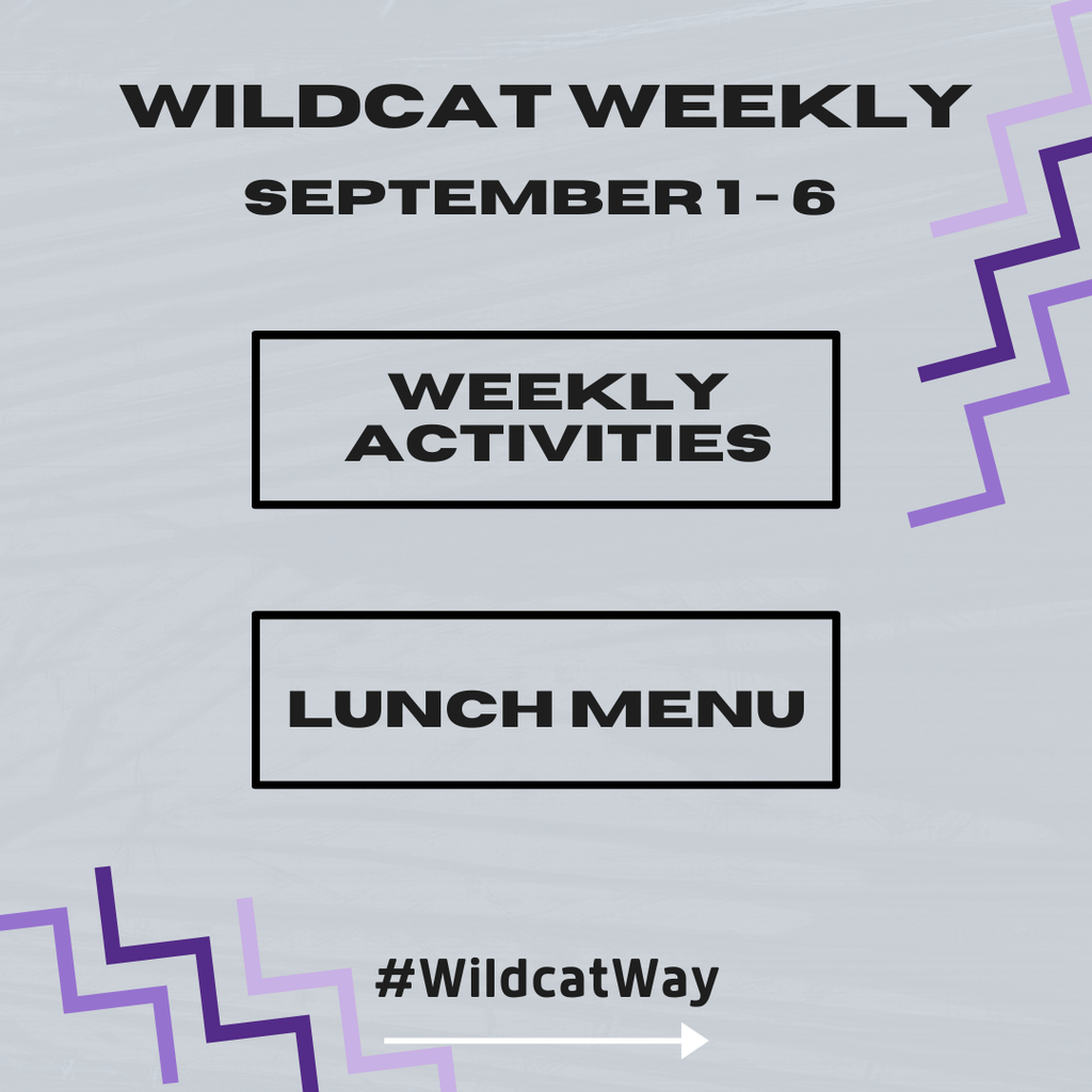 wildcat