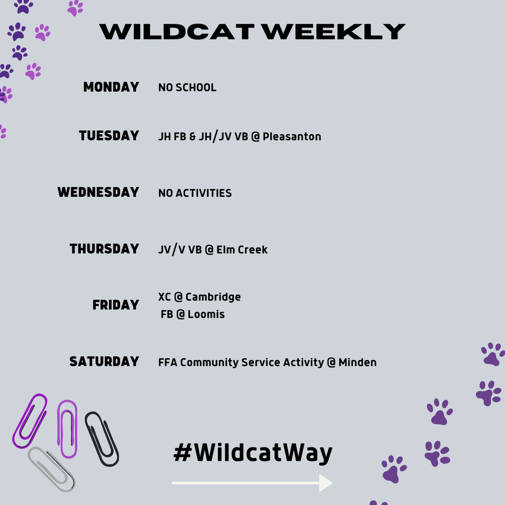 wildcat