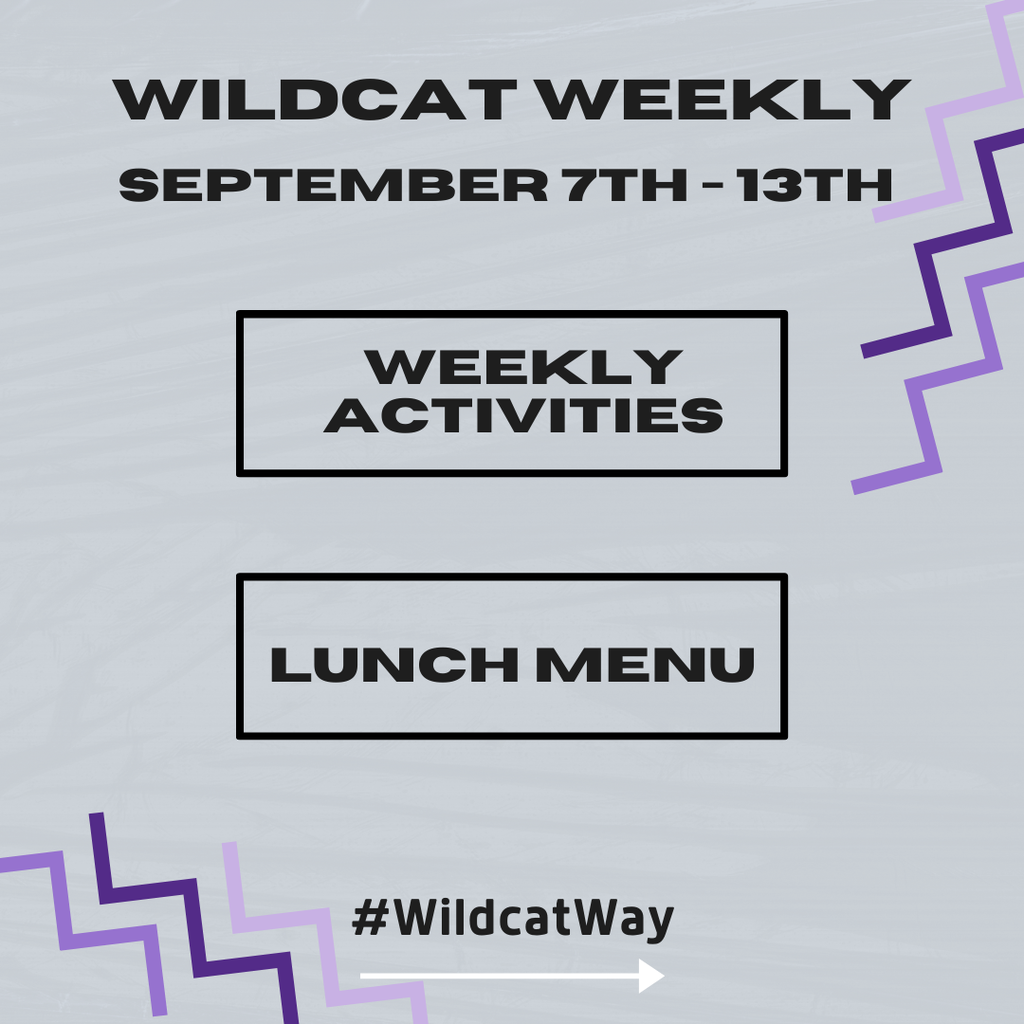 wildcat