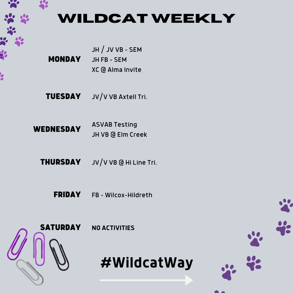 wildcats