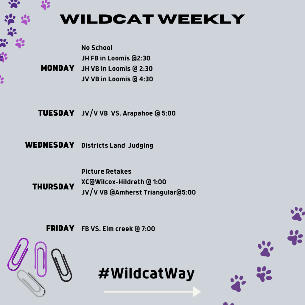 wildcat.